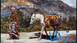 راعي النحيفة 