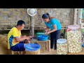 Download Lagu Harvesting white eggplant:TWO jars full of pickled eggplants are enough to eat for more than a month