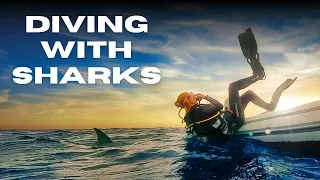 World’s most remote SHARK DIVE! [RED SEAS]