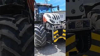                              دندنها