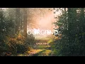 Adriatique & Marino Canal - Home (feat. Delhia De France)