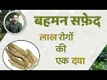 Download Lagu Benefits Of #Centaurea behen | #Safed Behman Ke fayde | JadiButi Store