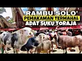 Download Lagu Rambu Solo’ Tanah Toraja Pemakaman Termahal di Dunia
