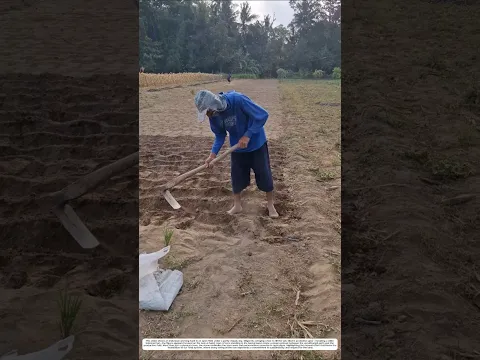 Soil Preparation: How the Swing of a Hoe Transforms Raw Land into Garden Beds