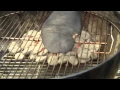 How to Grill Beaver Tail by BBQ Dragon