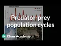 Predator-prey population cycles Ecology and natural systems High school biology Khan Academy