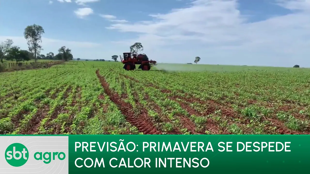 SBT Agro 18/12/23: Primavera se despede com calor intenso em grande parte do Brasil