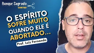 Consequências do ABORTO na VISÃO ESPÍRITA |Corte da Live@CanalEspiritaProfLuizFernando