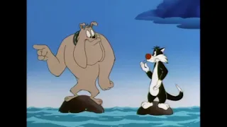looney tunes sylvesters unexpected disguise kids cartoons