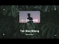 Download Lagu AWDELLA - TAK BISA BILANG | Man Version