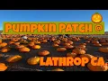Pumpkin Patch Lathrop Ca