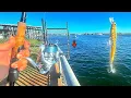 Fishing these Alabama Seawalls Boat Ramps and Beaches for Multiple Species