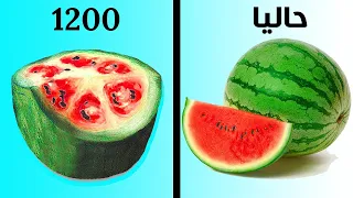شاهد كيف كان شكل الفاكهة قديما    دندنها