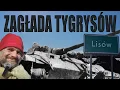 Lagu ZAGŁADA TYGRYSÓW