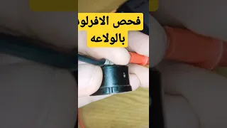                                                                             دندنها