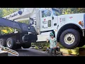 Download Lagu The city took EIGHT MONTHS to approve this DANGEROUS TREE REMOVAL?!