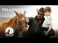 Cowboys Are Real Yellowstone Paramount Network