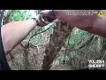 arrest 26