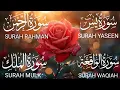 Download Lagu Emotional Qurani recitation ever✨Surah Yaseen |🤎| Surah Rahman |🤎| Surah Waqiah |🤎| Surah Mulk |🤎|