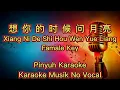 Download Lagu Xiang Ni De Shi Hou Wen Yue Liang (( 想你的时候问月亮  )) - Karaoke - Musik