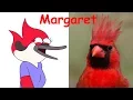 Regular Show In Real Life