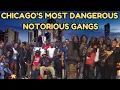 Chicago s Most Dangerous Gangs Untold Stories of Rivalries and Power