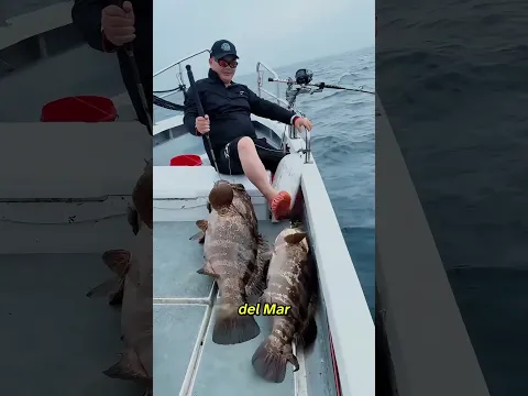 ¿Se puede comer este pez? #science #popular #fish #pez #pesca