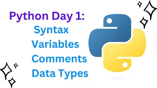Master Python Basics Day 1 Guide to Syntax Variables Comments and Data Types