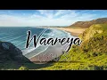 Lagu Waareya(LYRICS)Suraj Pe Mangal Bhari | Diljit | Manoj | Fatima |Javed-Mohsin | Kunaal V