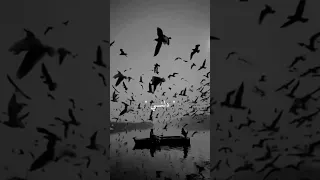يا من هواه اعزه واذلني دندنها