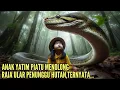 Download Lagu VIRAL !! ANAK YATIM PIATU MENOLONG RAJA ULAR YANG MERUBAH HIDUPNYA