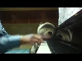 Candy Crush Saga - Level Failed (Piano)