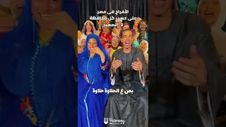 الافراح فى مصر حسب كل محافظه افراح الحنة  الافراح فى مصر حسب كل محافظه افراح الحنة