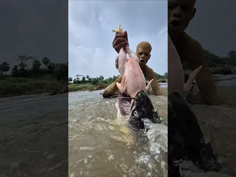 Sandman unique idea river flowing water big monster wallago fishing video