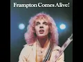 Show Me The Way - Peter Frampton