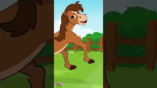 أنا حصان    و بعمل نيه   أغاني الأطفال  الحيوانات    اطفال دندنها