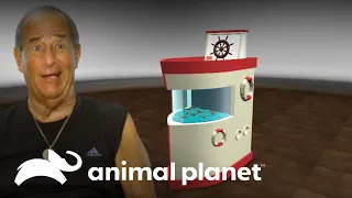 Tanques comerciais: Estruturas móveis e pesqueiras | Com água até o pescoço | Animal Planet Brasil