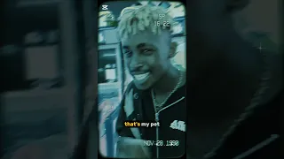 Rahleu TBTE Tremble B4 The Eliphante Official Visuals 