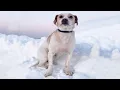 He Was Left Alone with a Growing Lump But Love Changed His Life Forever
