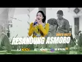 Lagu KESANDUNG ASMORO - SHINTA NRLTA - TJ MUSIC ( Official video live ) AS OFFICIAL HD