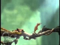 Download Lagu Детеныши джунглей Jungle Cubs Заставка Intro