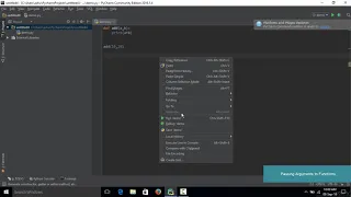 028 Passing arguments to functions in Python