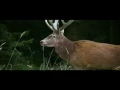 Video di On Body And Soul - Excerpt #1