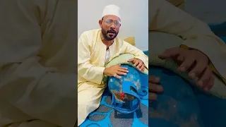 انبوبة الغاز بقت اغلى من البوتجاز ارتفاع اسعار الانابيب فى مصر ضحك السنين الريف المصرى كوميديا  انبوبة الغاز بقت اغلى من البوتجاز ارتفاع اسعار الانابيب فى مصر ضحك السنين الريف المصرى كوميديا