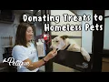 Petique Donates 500 Treats to Adoption Shelter