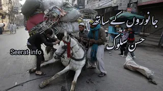 جانوروں  پر رحم کے بارے میں نبی کریم صلم کا فرمان                                                دندنها