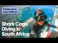 Spend the day with us Shark Cage Diving in South Africa