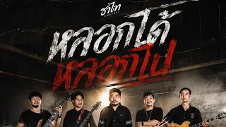 หลอกได้หลอกไป -วงชาไท [Official MV]