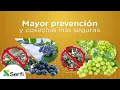 Phyton 27