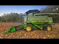 Harvesting Corn Grown Into Standing Rye Grass Did It Pay Off